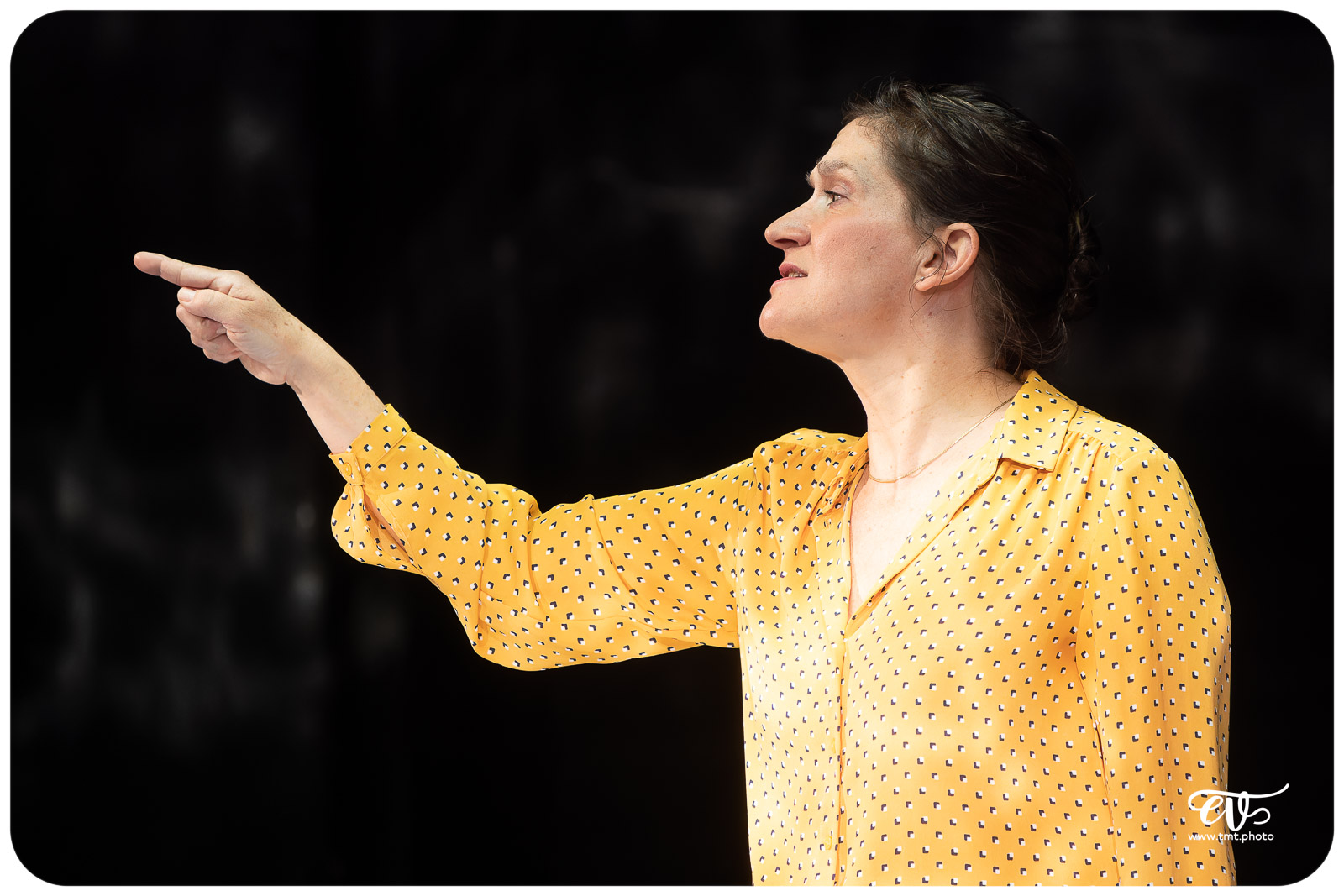 L'ARAIGNEE (CIE LA CHAIR DU MONDE)